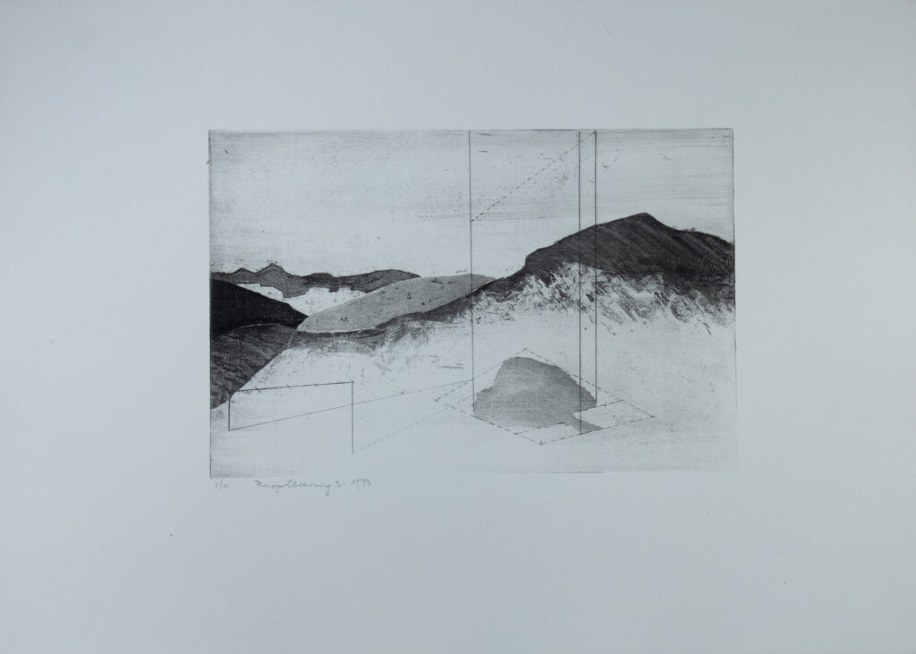 Parzellierung 3, Radierung/Aquatinta, 30 x 20 cm, Auflage 7, 1973