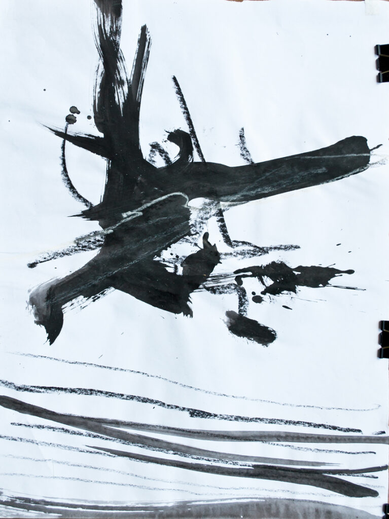 Ohne Titel 15b, Kohle, Tuschpinsel auf Papier, 33,3 x 49 cm, 2019