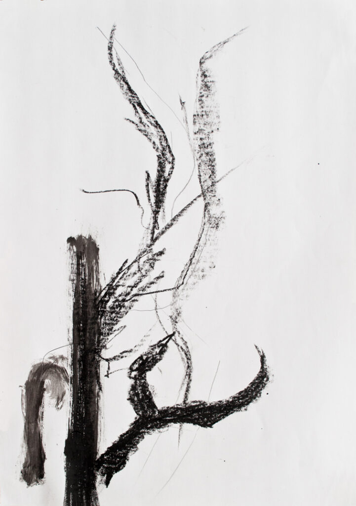 Ohne Titel 13, Kohle, Tuschpinsel auf Papier, 29,7 x 42 cm, 2019